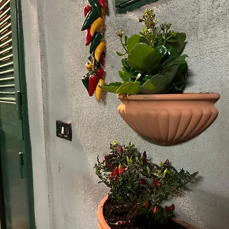 Apartman Tiny House - Spaccanapoli