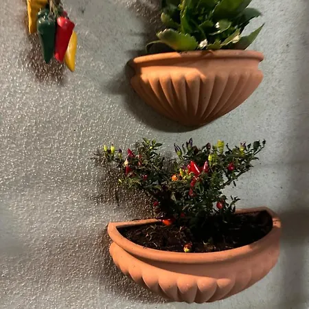 Tiny House - Spaccanapoli * Nápoly