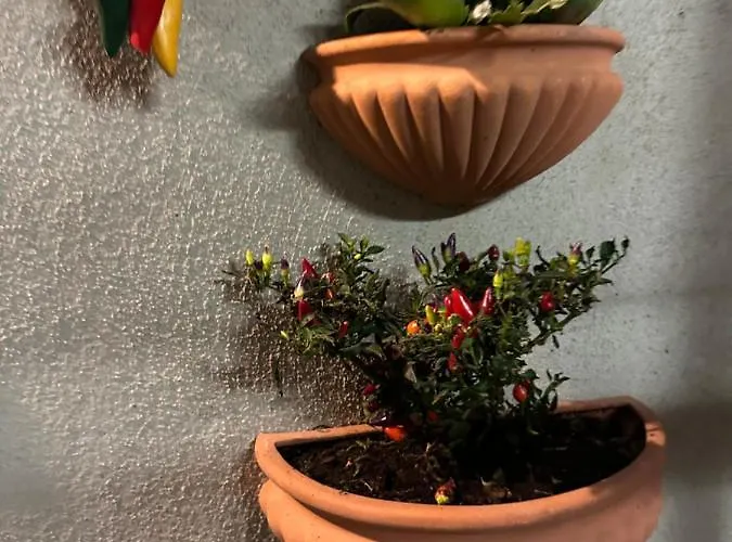 Tiny House - Spaccanapoli * Naples